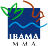 MMA