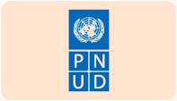 pnud